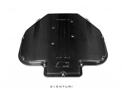 Eventuri Carbon intake manifold for BMW M5 E39